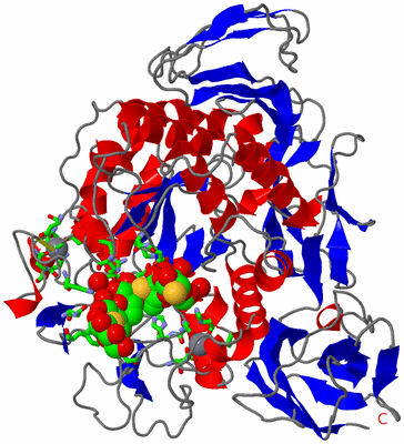 Image Asym./Biol. Unit - sites