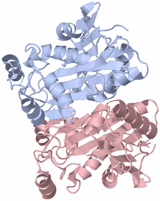 Image Biological Unit 3