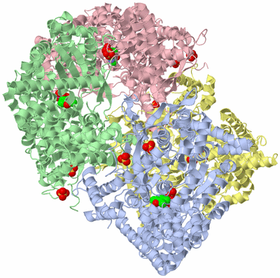 Image Asym./Biol. Unit