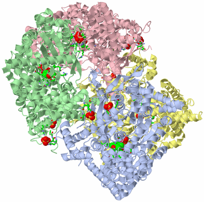 Image Asym./Biol. Unit - sites