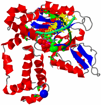 Image Asym./Biol. Unit - sites