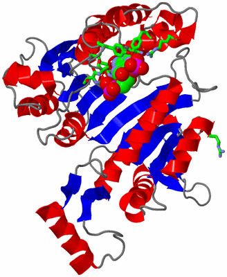 Image Asym. Unit - sites