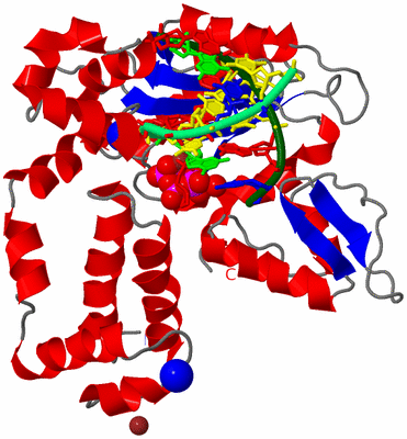 Image Asym./Biol. Unit