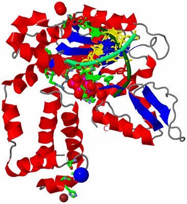 Image Asym./Biol. Unit - sites