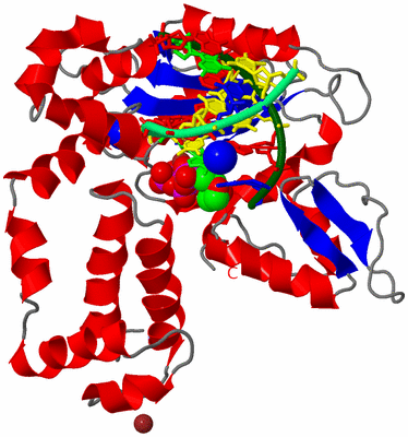 Image Asym./Biol. Unit