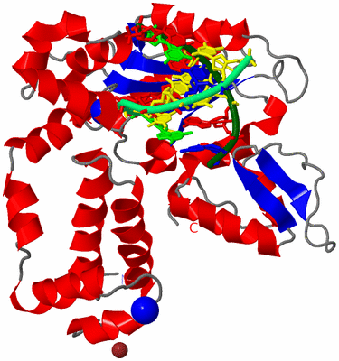 Image Asym./Biol. Unit