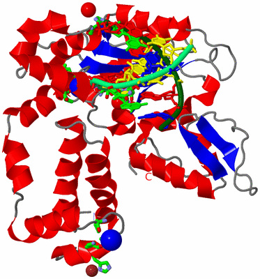 Image Asym./Biol. Unit - sites