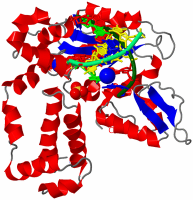 Image Asym./Biol. Unit