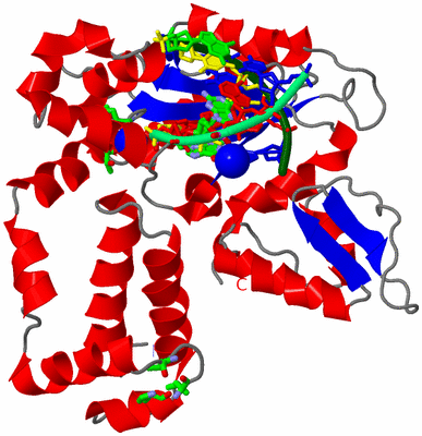 Image Asym./Biol. Unit - sites