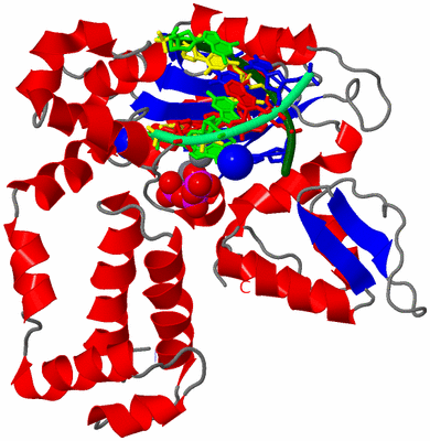 Image Asym./Biol. Unit