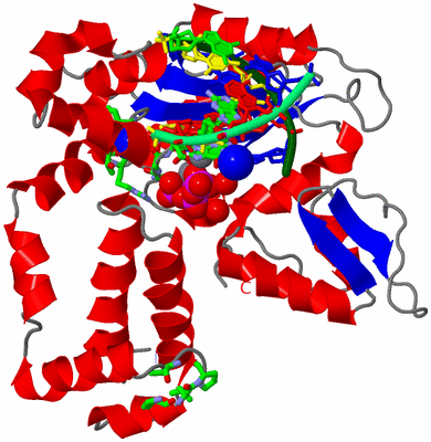 Image Asym./Biol. Unit - sites