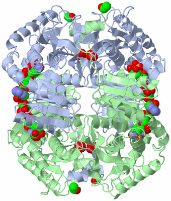 Image Biological Unit 1