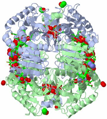 Image Biol. Unit 1 - sites