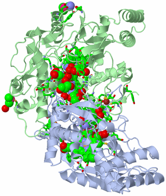 Image Asym./Biol. Unit - sites