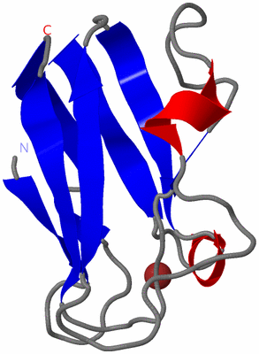 Image NMR Structure - model 1