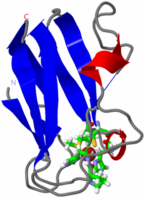 Image NMR Structure - model 1, sites