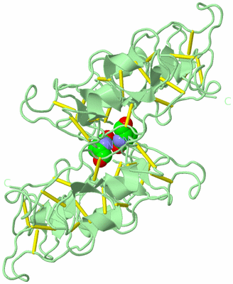 Image Biological Unit 3