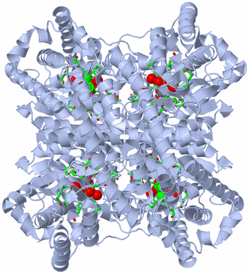 Image Biol. Unit 1 - sites