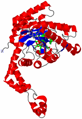 Image Asym. Unit - sites