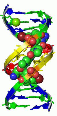 Image Asym./Biol. Unit - manually