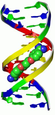 Image Asym./Biol. Unit - manually