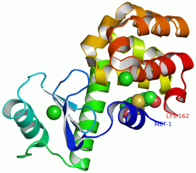 Image Asym./Biol. Unit - manually