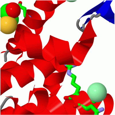 Image Asym./Biol. Unit - manually