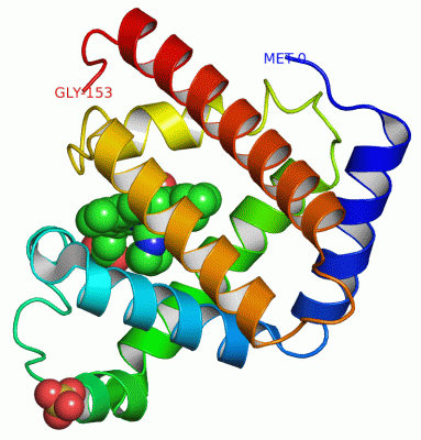 Image Asym./Biol. Unit - manually