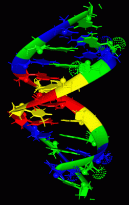 Image NMR Structure - manually