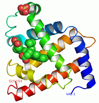 Image Asym./Biol. Unit - manually