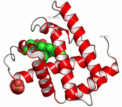 Image Asym./Biol. Unit - manually