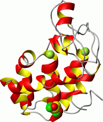 Image Asym./Biol. Unit - manually