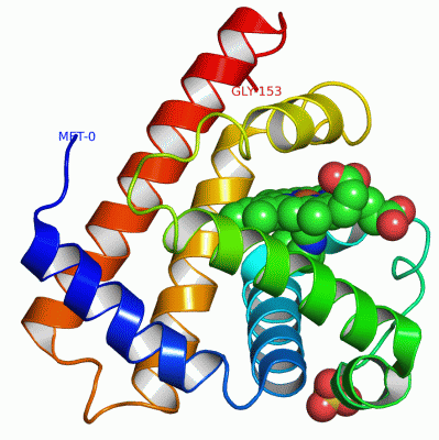 Image Asym./Biol. Unit - manually