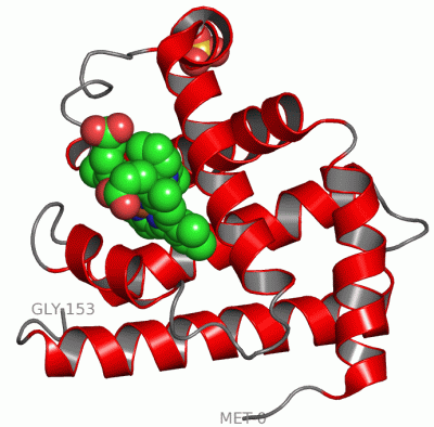 Image Asym./Biol. Unit - manually