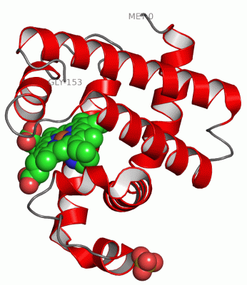 Image Asym./Biol. Unit - manually