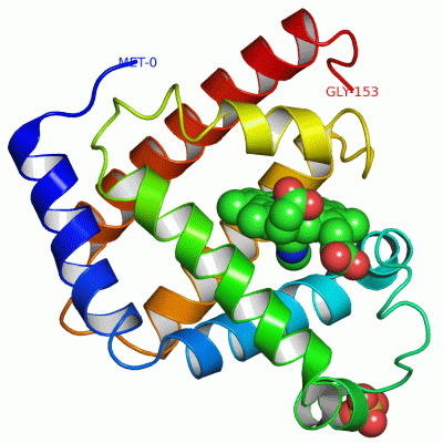 Image Asym./Biol. Unit - manually