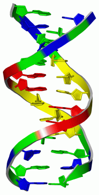 Image Asym./Biol. Unit - manually