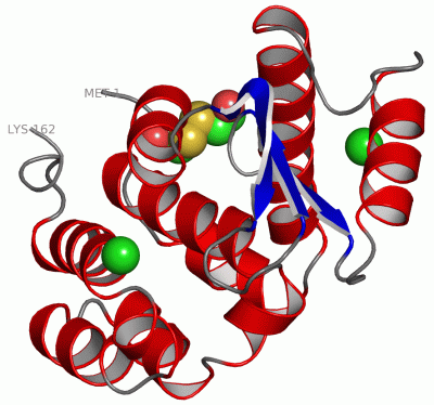 Image Asym./Biol. Unit - manually