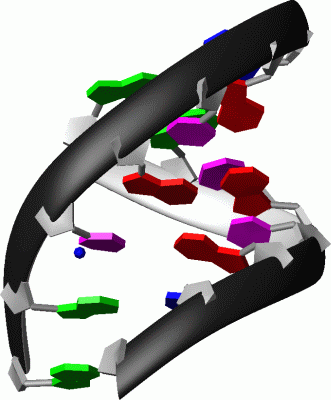 Image Asym./Biol. Unit - manually