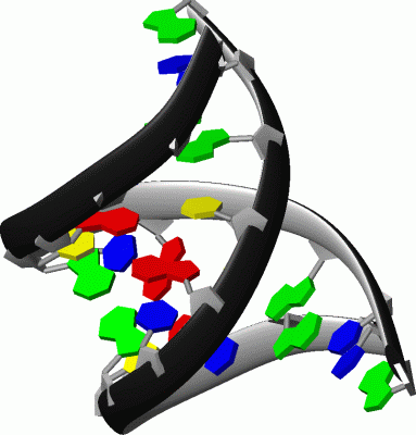 Image Biol.Unit 1 - manually