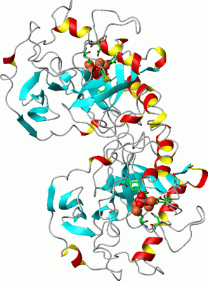 Image Asym./Biol. Unit - manually