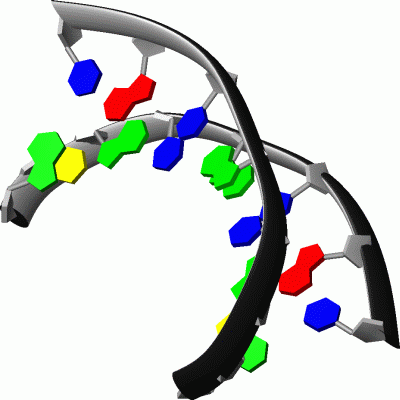 Image Biol.Unit 1 - manually