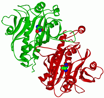 Image Asym./Biol. Unit - manually