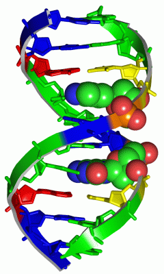 Image Asym./Biol. Unit - manually