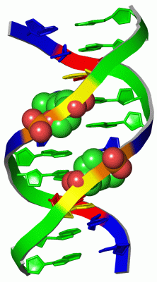 Image Asym./Biol. Unit - manually