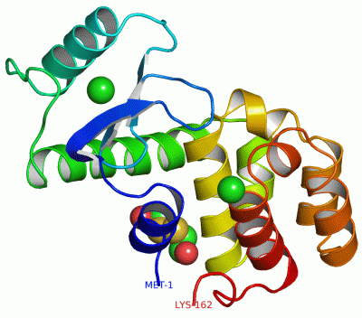 Image Asym./Biol. Unit - manually