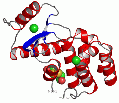 Image Asym./Biol. Unit - manually