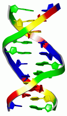 Image Asym./Biol. Unit - manually