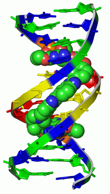 Image Asym./Biol. Unit - manually