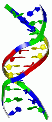 Image NMR Structure - manually